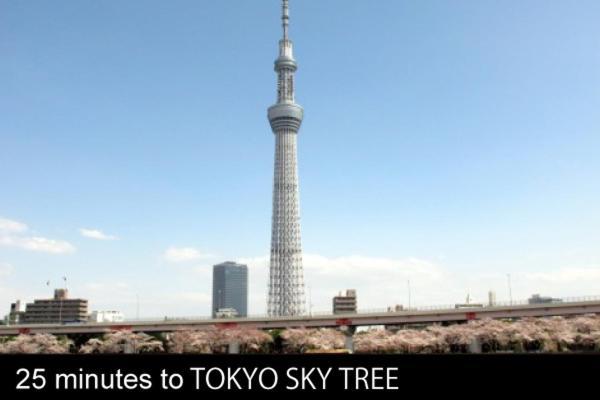 Mizue Dai-Ichi Hotel Tokyo Dış mekan fotoğraf